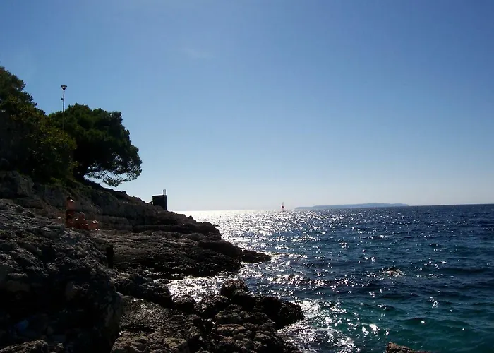 Apartment Gospodnetic *